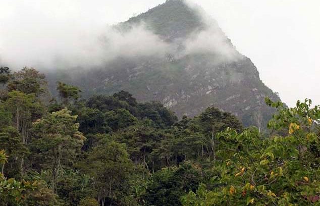 Cerro de Quininí