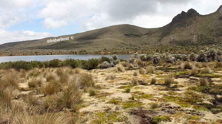 Páramo de Sumapaz